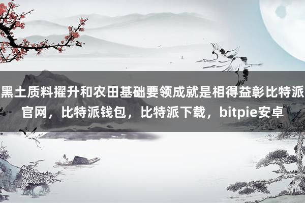 黑土质料擢升和农田基础要领成就是相得益彰比特派官网，比特派钱包，比特派下载，bitpie安卓