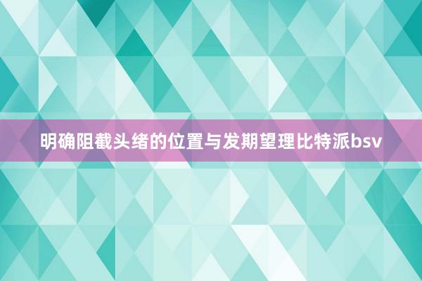 明确阻截头绪的位置与发期望理比特派bsv