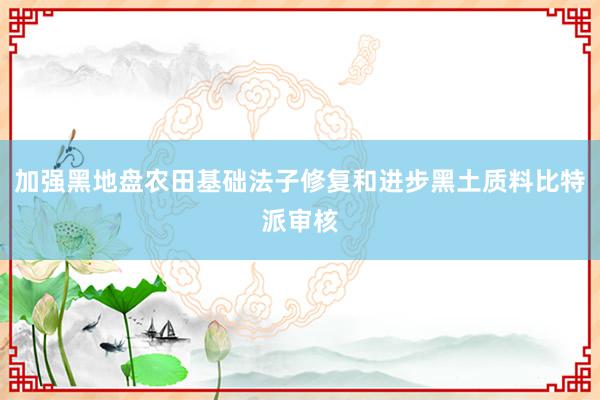 加强黑地盘农田基础法子修复和进步黑土质料比特派审核