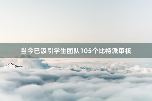 当今已汲引学生团队105个比特派审核