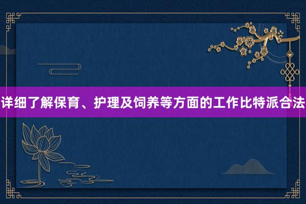 详细了解保育、护理及饲养等方面的工作比特派合法