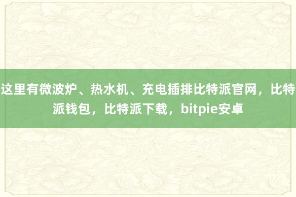 这里有微波炉、热水机、充电插排比特派官网，比特派钱包，比特派下载，bitpie安卓