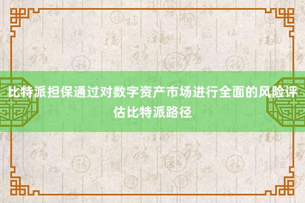 比特派担保通过对数字资产市场进行全面的风险评估比特派路径