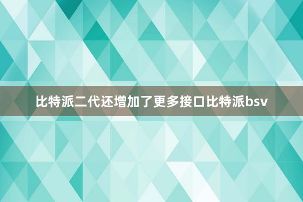 比特派二代还增加了更多接口比特派bsv