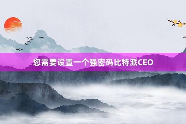 您需要设置一个强密码比特派CEO