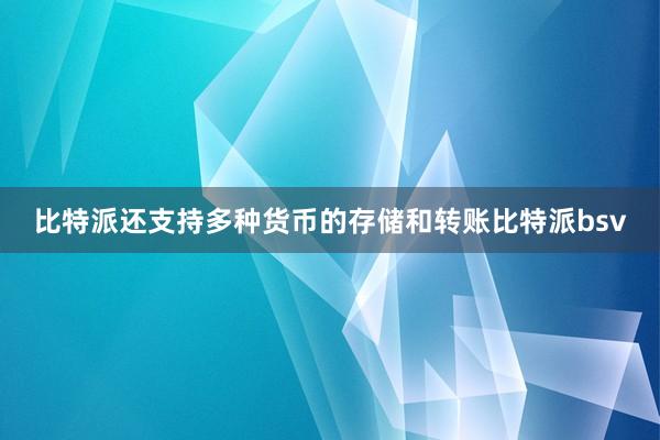 比特派还支持多种货币的存储和转账比特派bsv