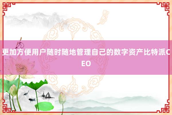 更加方便用户随时随地管理自己的数字资产比特派CEO