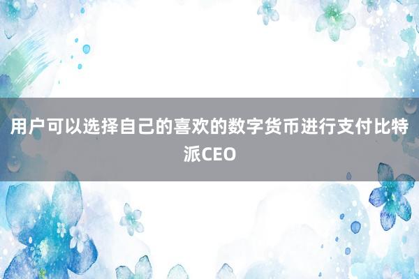 用户可以选择自己的喜欢的数字货币进行支付比特派CEO