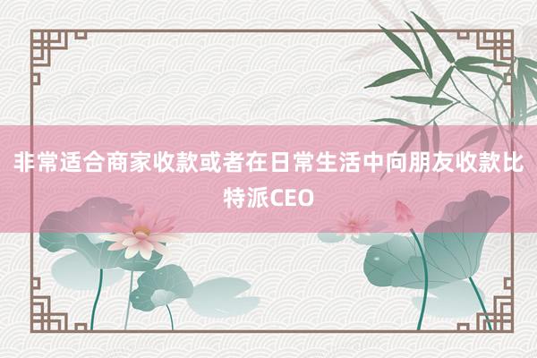 非常适合商家收款或者在日常生活中向朋友收款比特派CEO