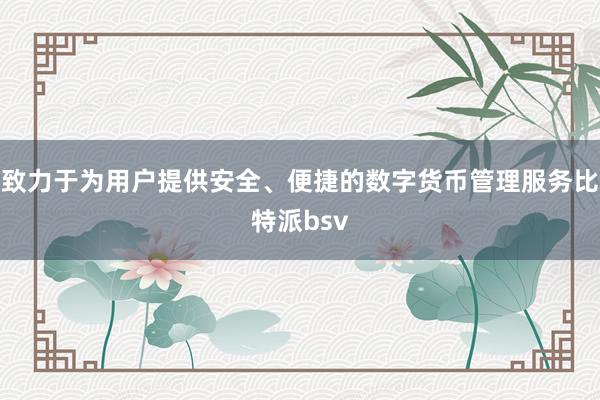 致力于为用户提供安全、便捷的数字货币管理服务比特派bsv