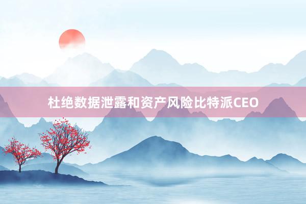 杜绝数据泄露和资产风险比特派CEO