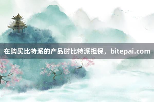 在购买比特派的产品时比特派担保，bitepai.com