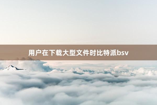 用户在下载大型文件时比特派bsv