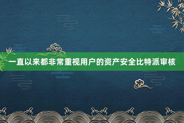 一直以来都非常重视用户的资产安全比特派审核