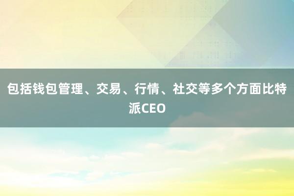 包括钱包管理、交易、行情、社交等多个方面比特派CEO