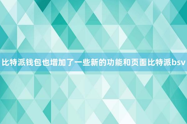 比特派钱包也增加了一些新的功能和页面比特派bsv