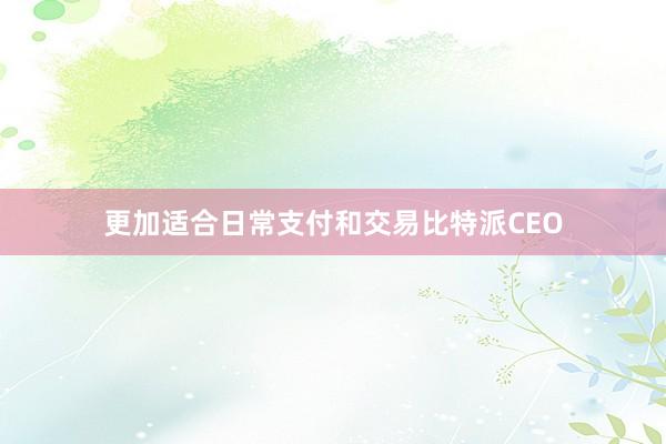 更加适合日常支付和交易比特派CEO