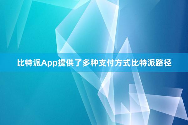 比特派App提供了多种支付方式比特派路径