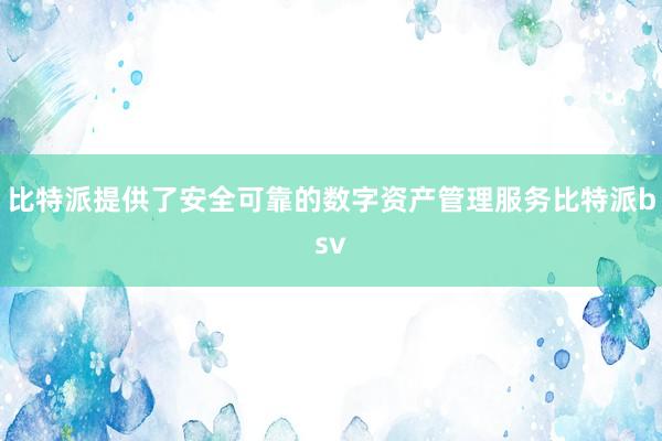 比特派提供了安全可靠的数字资产管理服务比特派bsv