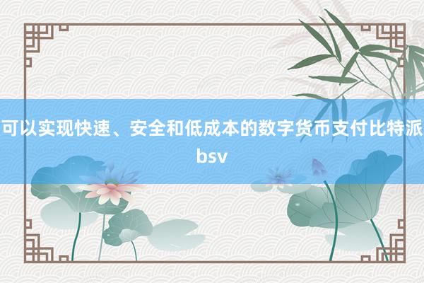 可以实现快速、安全和低成本的数字货币支付比特派bsv