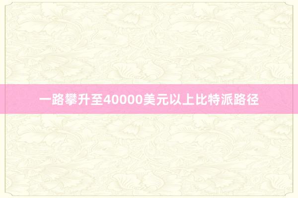 一路攀升至40000美元以上比特派路径