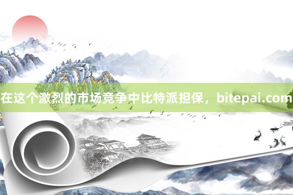 在这个激烈的市场竞争中比特派担保，bitepai.com