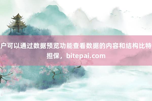 用户可以通过数据预览功能查看数据的内容和结构比特派担保，bitepai.com