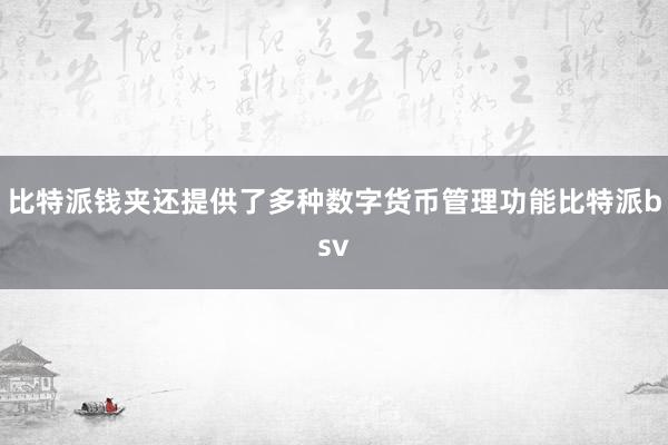 比特派钱夹还提供了多种数字货币管理功能比特派bsv