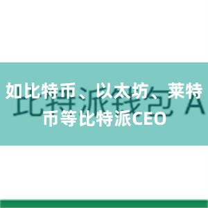 如比特币、以太坊、莱特币等比特派CEO