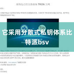 它采用分散式私钥体系比特派bsv