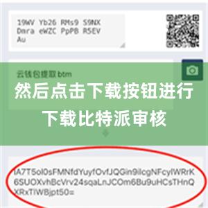 然后点击下载按钮进行下载比特派审核