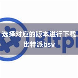 选择对应的版本进行下载比特派bsv