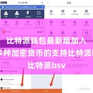 比特派钱包最新版加入了多种加密货币的支持比特派bsv