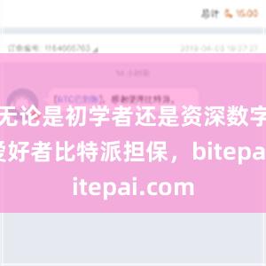 无论是初学者还是资深数字货币爱好者比特派担保，bitepai.com