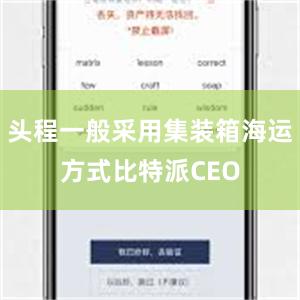 头程一般采用集装箱海运方式比特派CEO