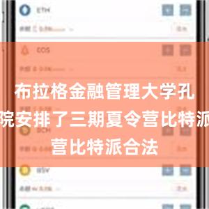 布拉格金融管理大学孔子学院安排了三期夏令营比特派合法