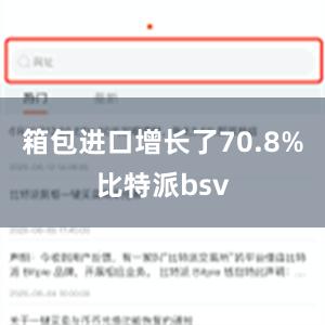 箱包进口增长了70.8%比特派bsv