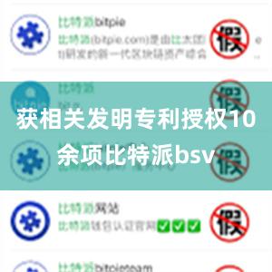 获相关发明专利授权10余项比特派bsv