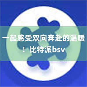 一起感受双向奔赴的温暖！比特派bsv