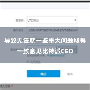 导致无法就一些重大问题取得一致意见比特派CEO