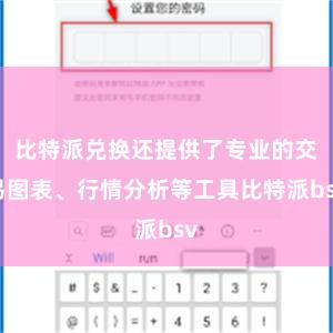 比特派兑换还提供了专业的交易图表、行情分析等工具比特派bsv