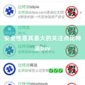 安全性是其最大的关注点比特派bsv