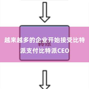 越来越多的企业开始接受比特派支付比特派CEO