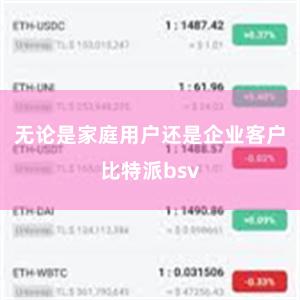 无论是家庭用户还是企业客户比特派bsv