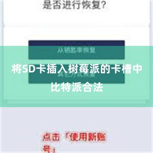 将SD卡插入树莓派的卡槽中比特派合法