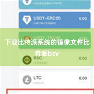 下载比特派系统的镜像文件比特派bsv